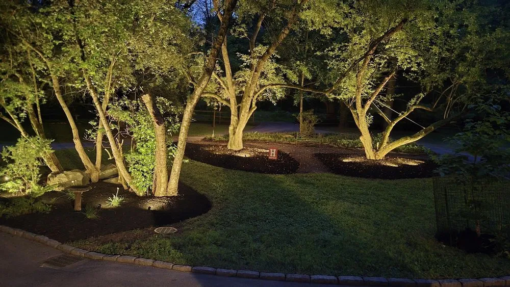 Slide of Lighten Up Electric