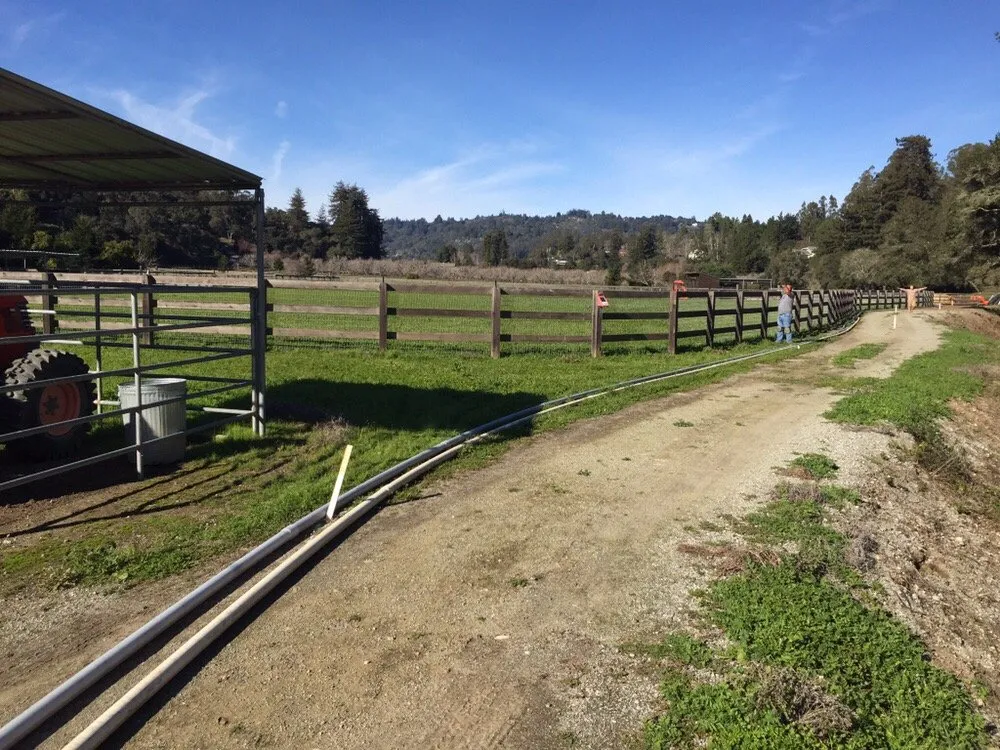 Slide of Lightland Electric