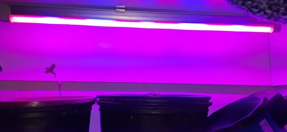 Affordable electrician providing lighting installation in ,