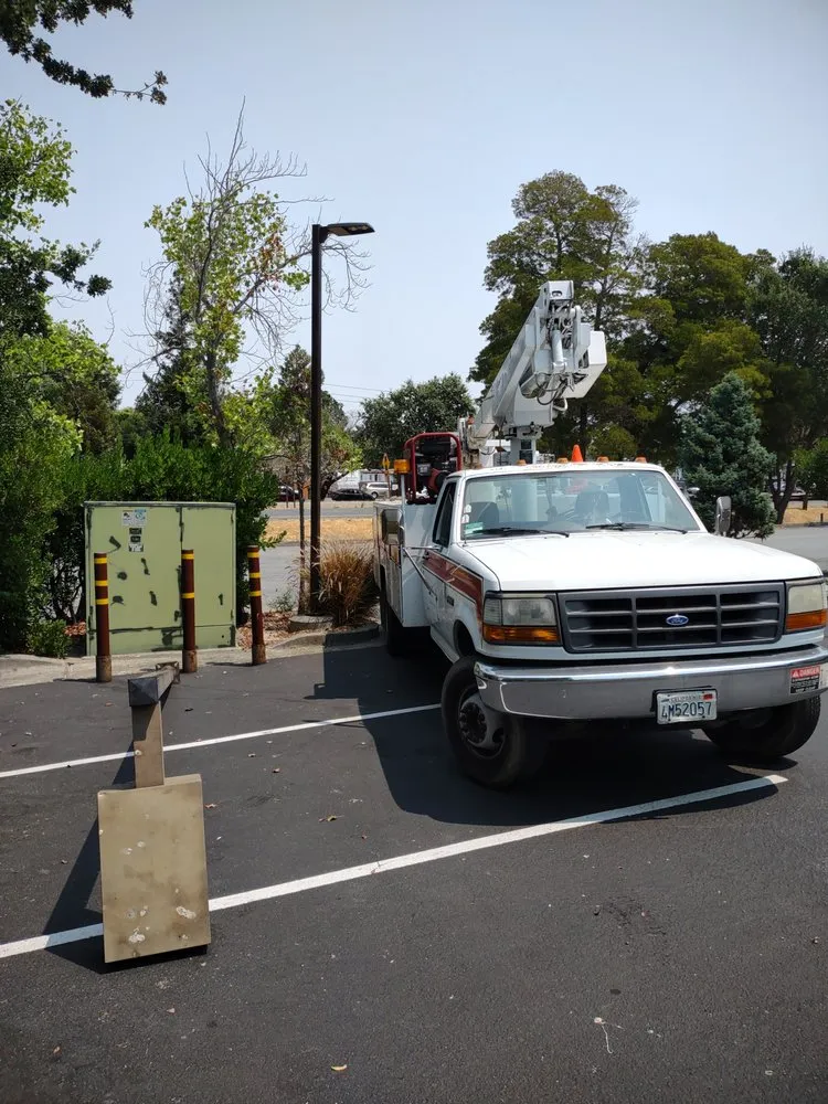 Slide of Lightning Electric