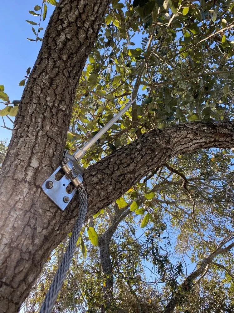 Slide of Lightning Protectors