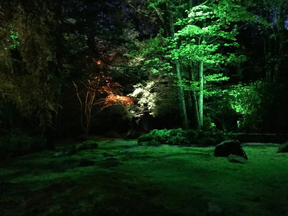 Slide of Lightscapes Landscape Lighting