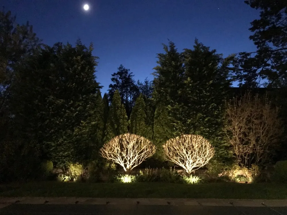 Slide of Lightscapes Landscape Lighting