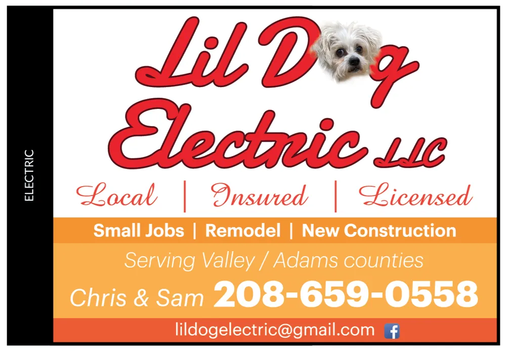 Slide of Lil Dog Electric