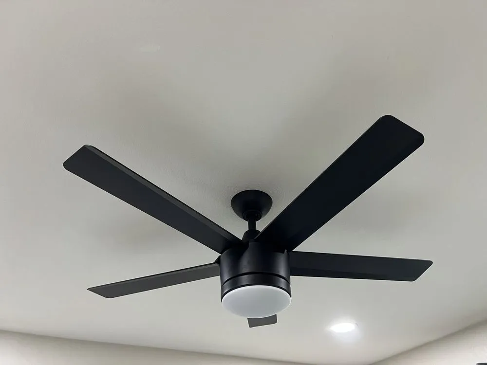 Slide of Lilais Electric