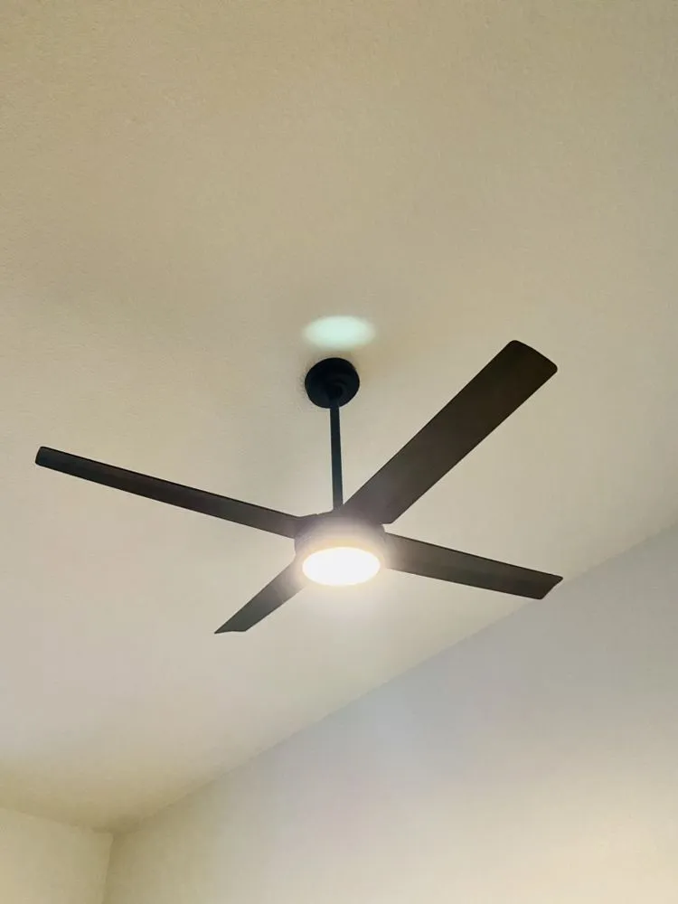 Slide of Lilais Electric