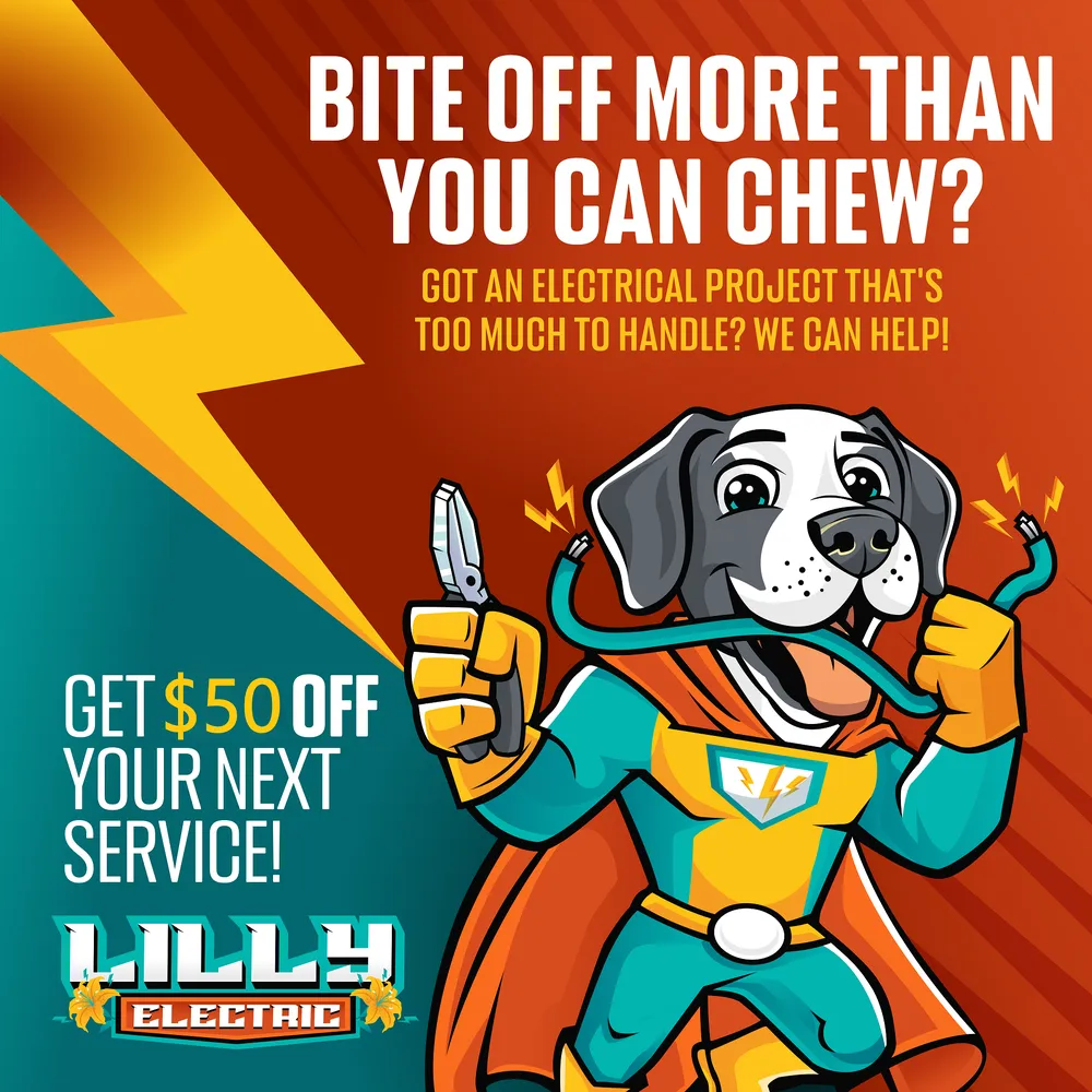 Slide of Lilly Electric