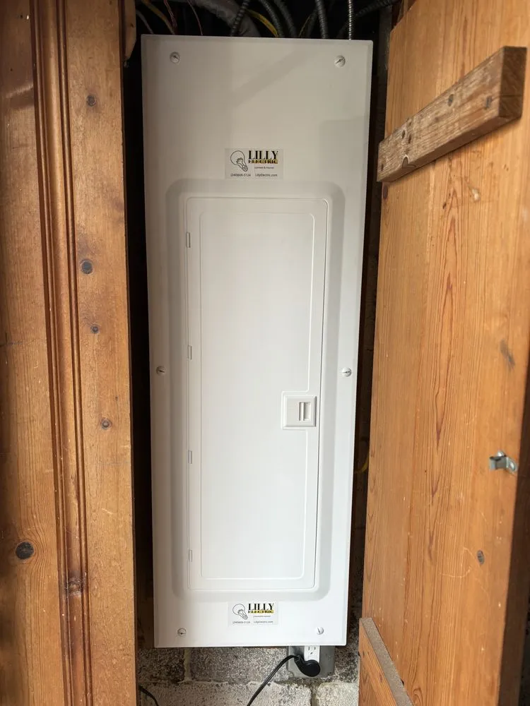 Slide of Lilly Electric