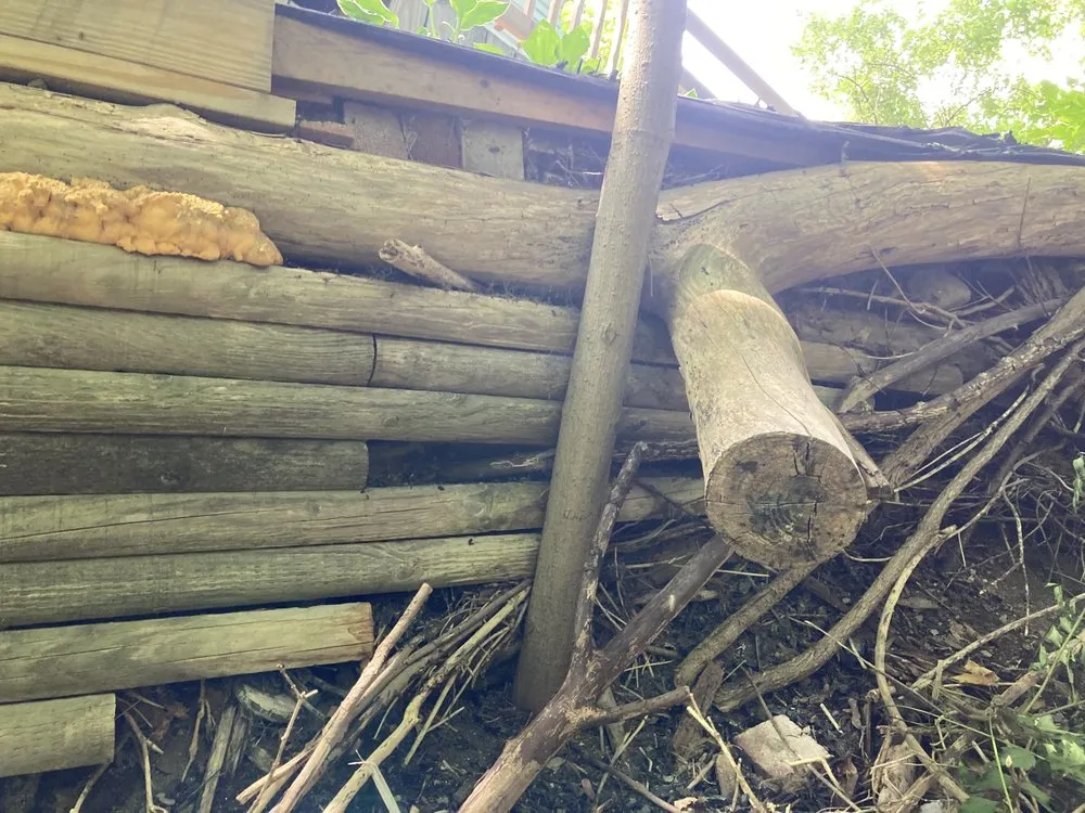 Slide of Limited Edition Home Services