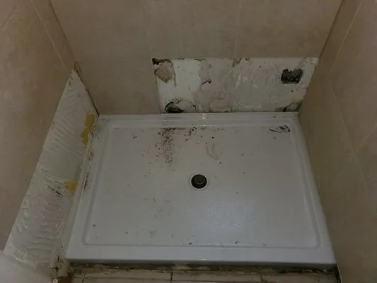 Limitless Services Logo