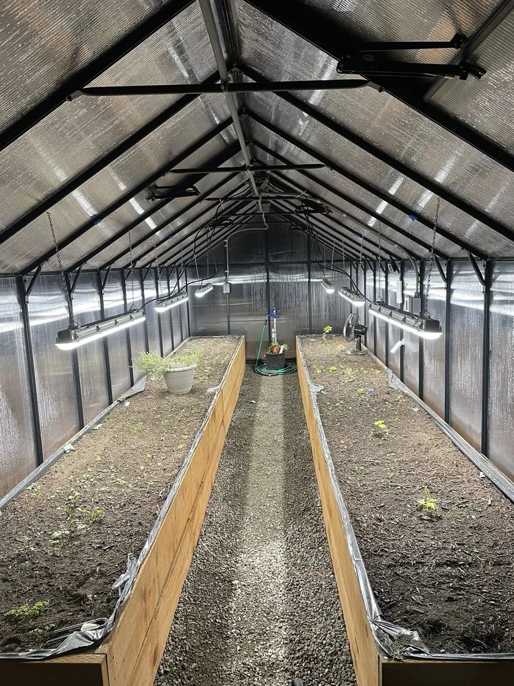 Expert electrician providing outlet and switch repair in , 