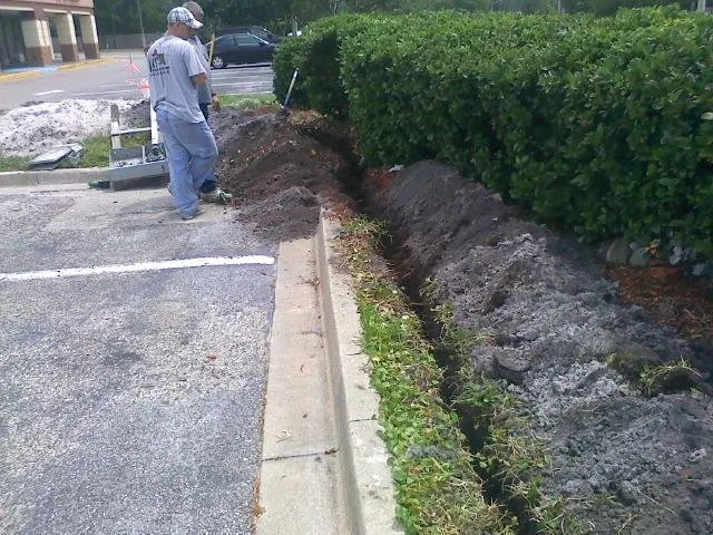 Slide of Lin's Electric