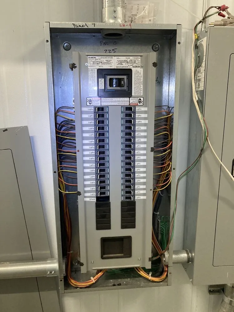 Slide of Lion Electric