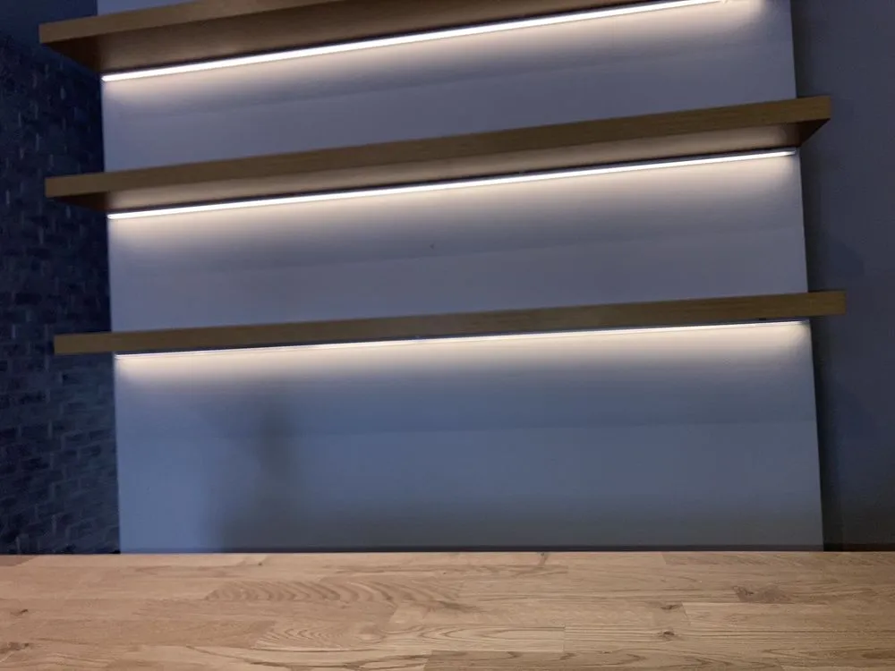 Slide of Lion Electric