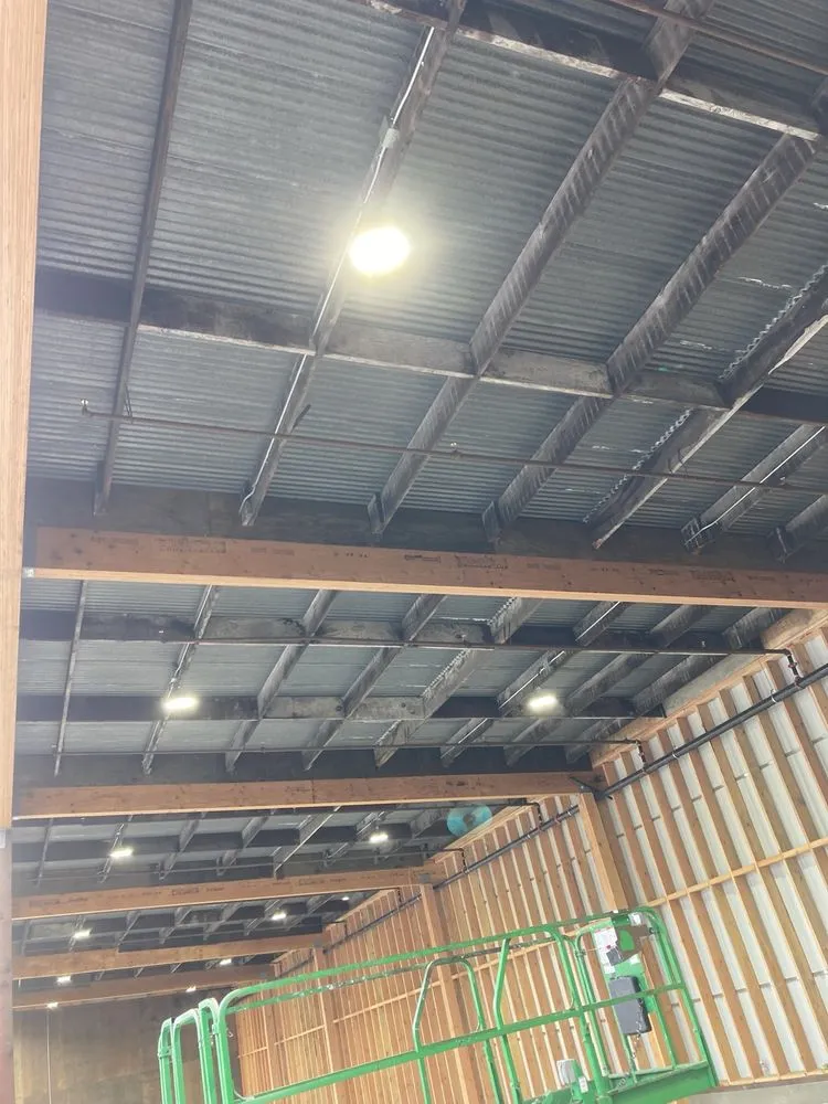 Trusted outlet and switch repair experts serving ,  - Lion Electric