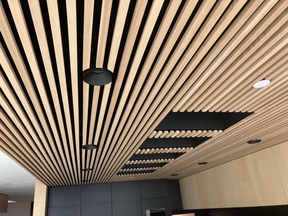 Slide of Lion Electric