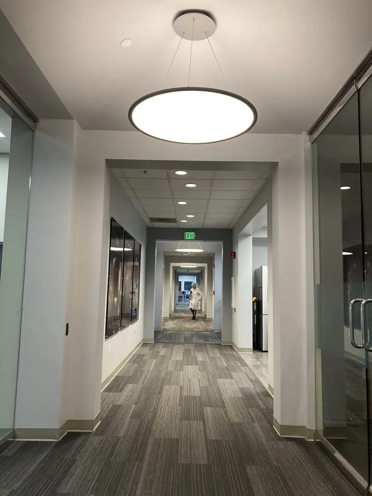 Slide of Lion Electric