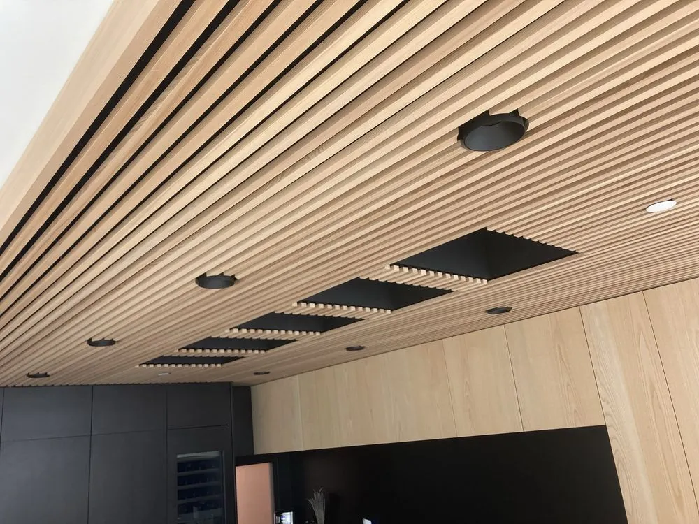 Slide of Lion Electric