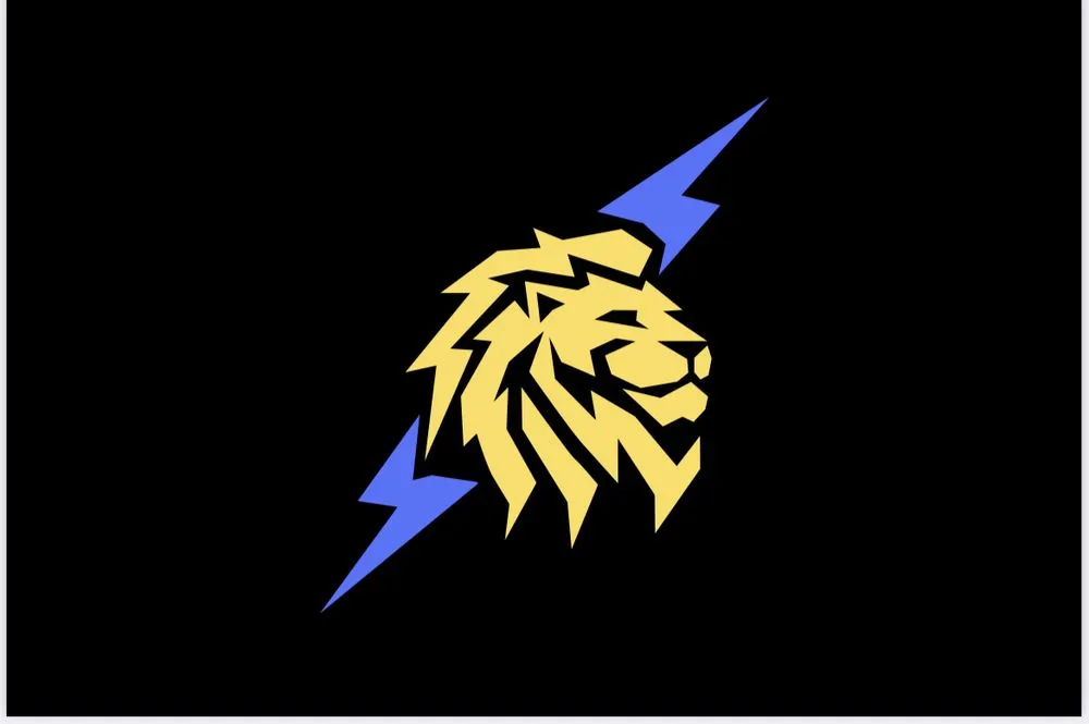 Slide of Lion Group Electrical
