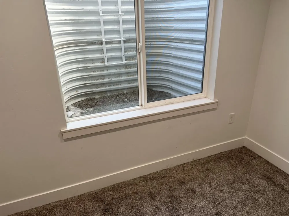 Slide of Lion Pro Services