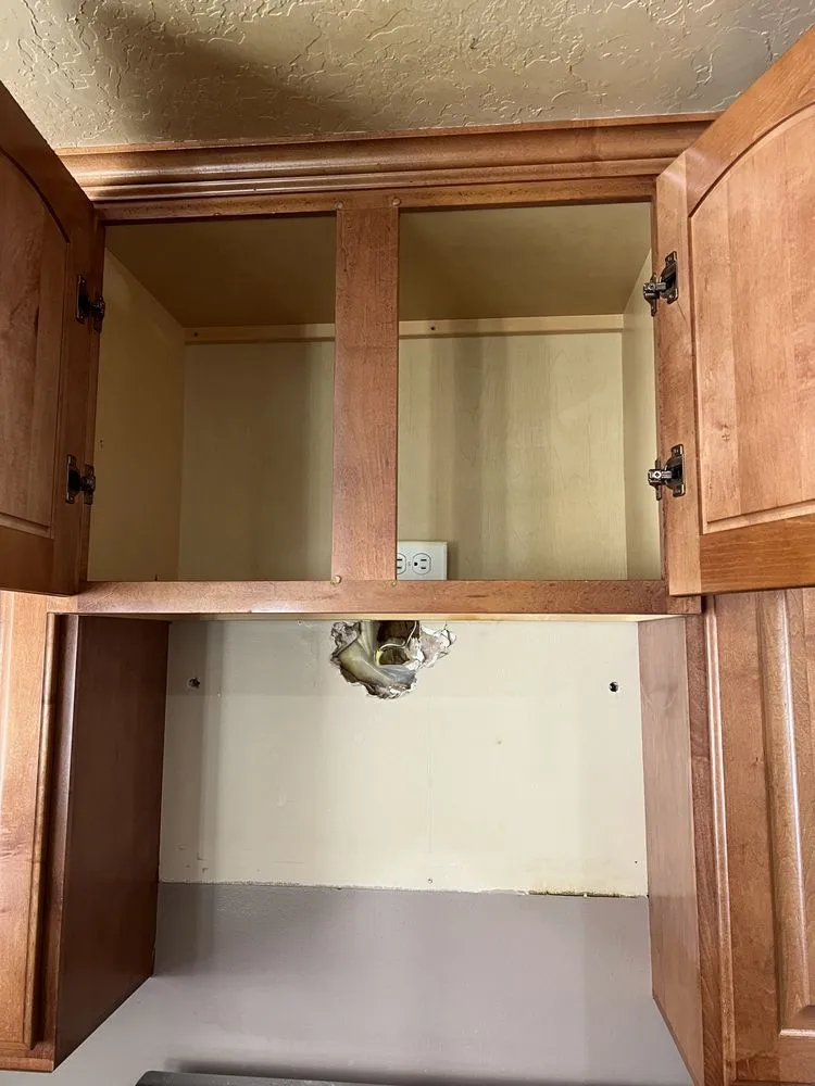 Slide of Lion Pro Services