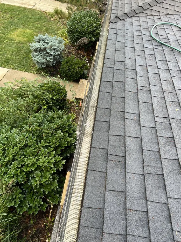 Slide of Lion Pro Services