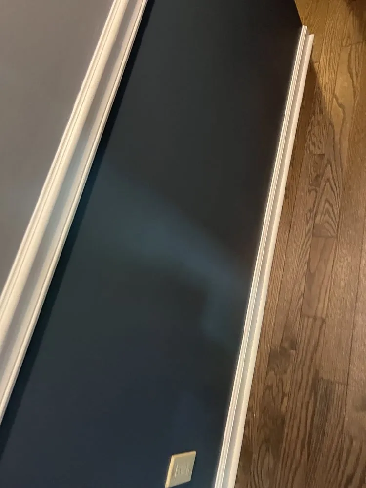 Slide of Lion Renovations