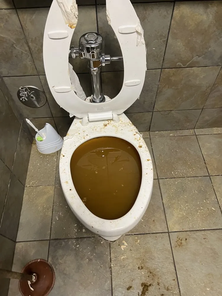 Slide of Lion Renovations