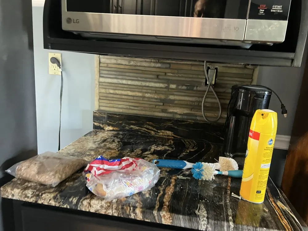 Slide of Lion Renovations