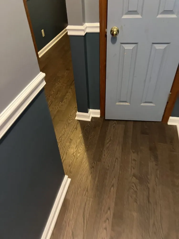 Slide of Lion Renovations