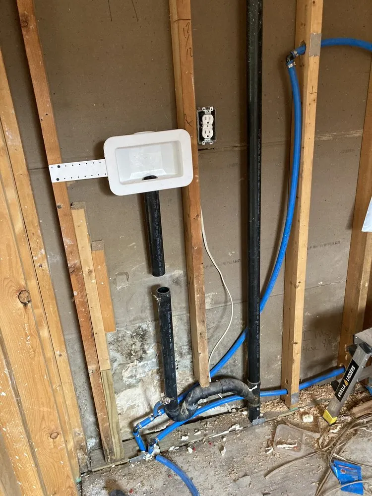 Slide of Lion Renovations