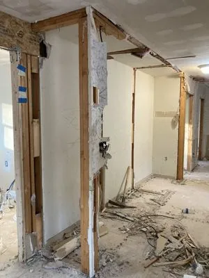 Lion Renovations Logo