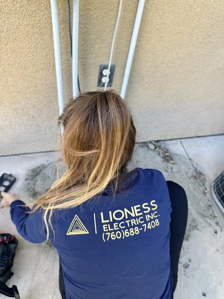 Slide of Lioness Electric