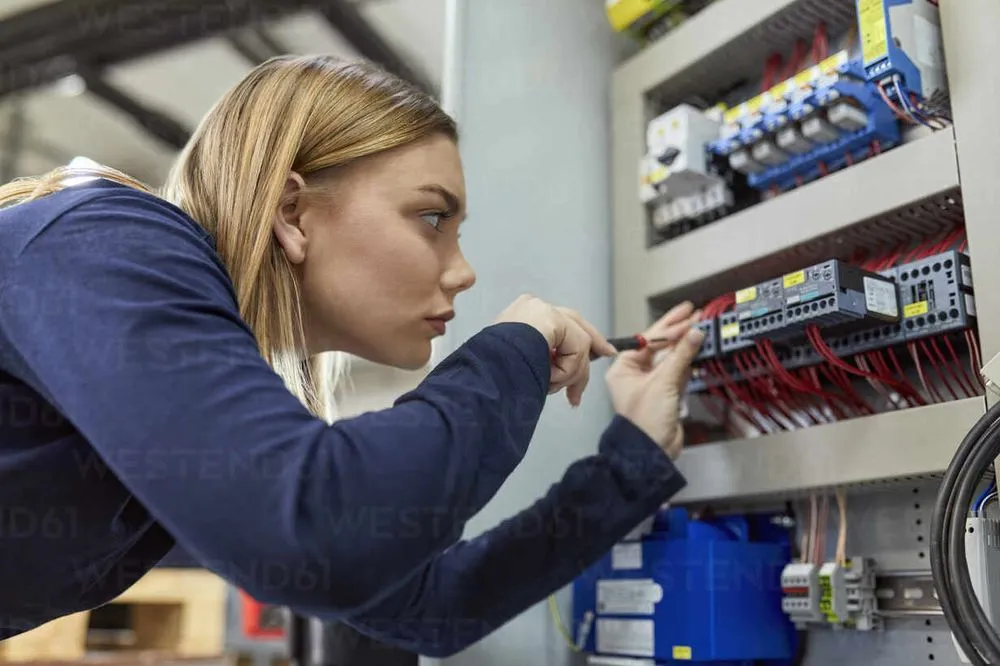 Slide of Lioness Electric