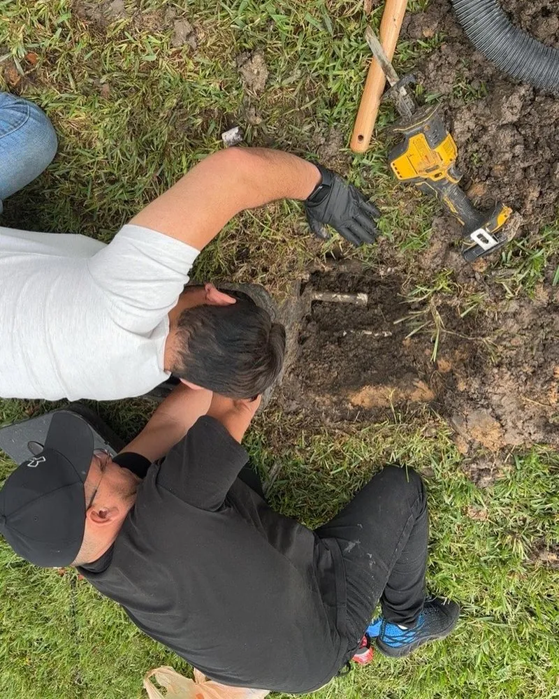 Slide of Lions Solution Contractor