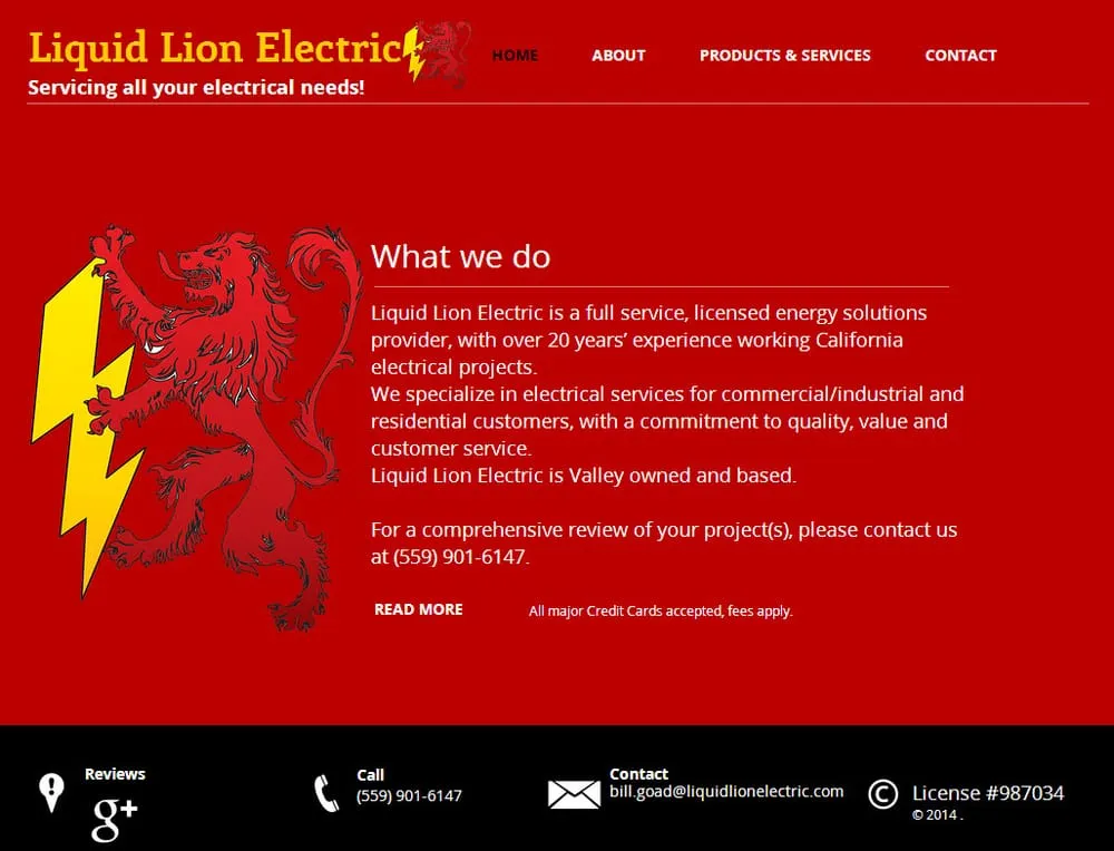 Slide of Liquid Lion Electric