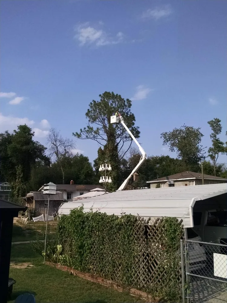 Slide of Lite Electric