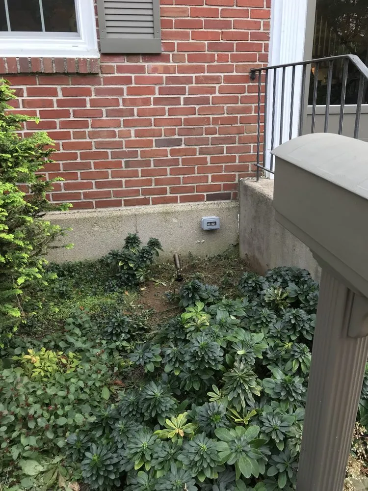 Slide of Little Light Of Mine