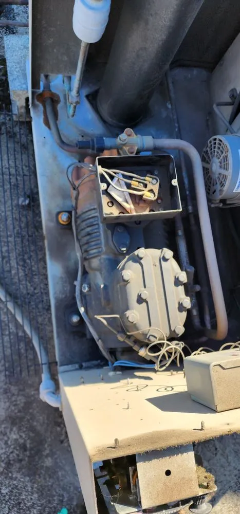 Slide of Little Rams