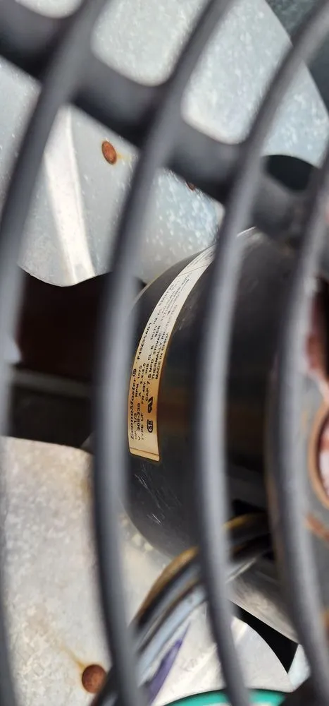 Slide of Little Rams