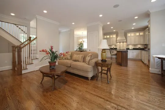 Live Conductors Electric