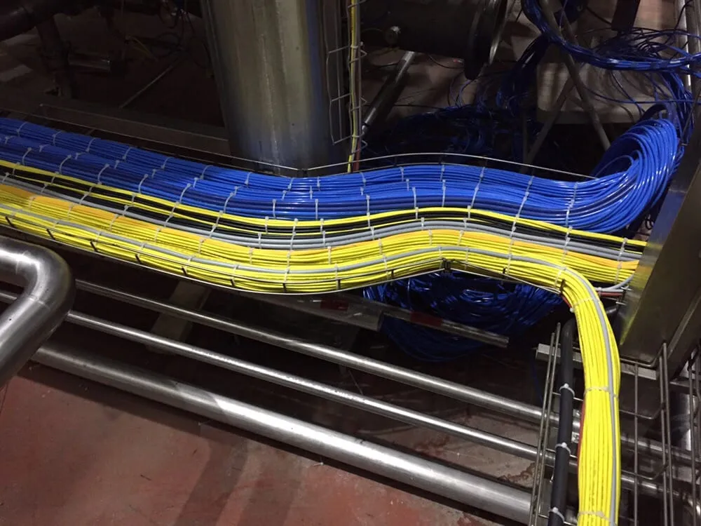 Slide of Live Electric