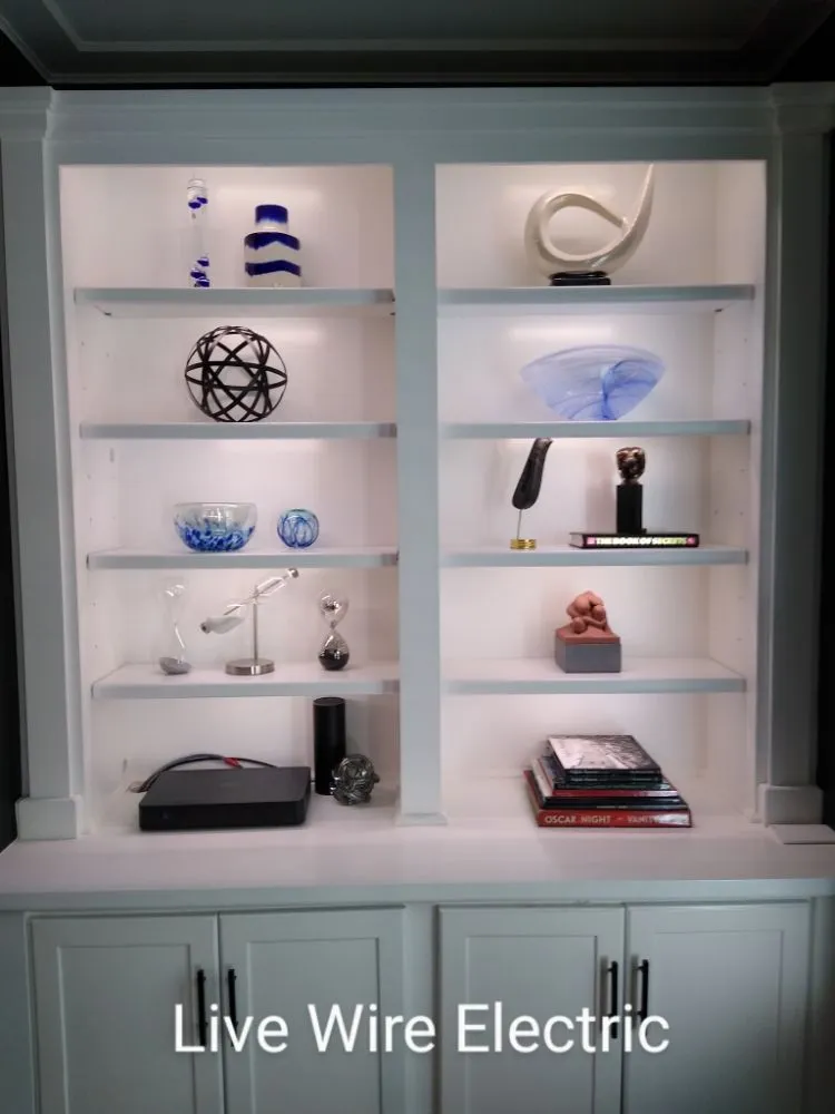 Slide of Live Wire Electric