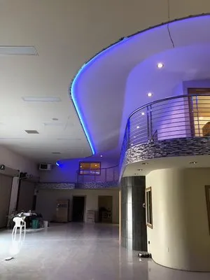 Live Wire Electric Logo