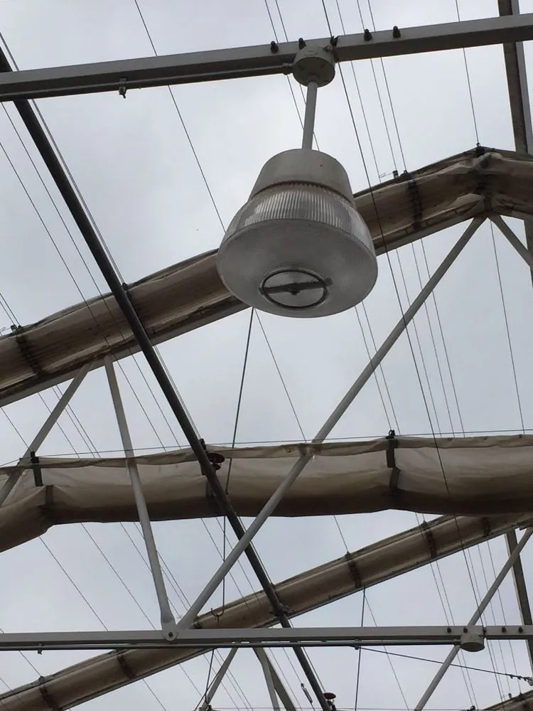 Slide of Live Wire Electric Service