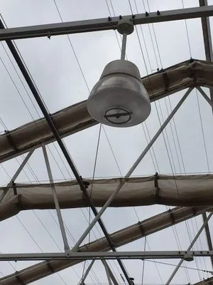 Live Wire Electric Service