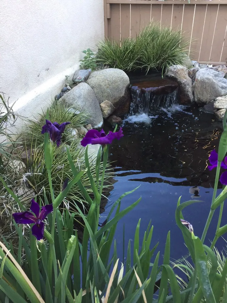 Slide of Live Wire EPS