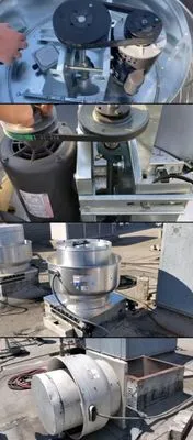 LiveWire Service Group Logo