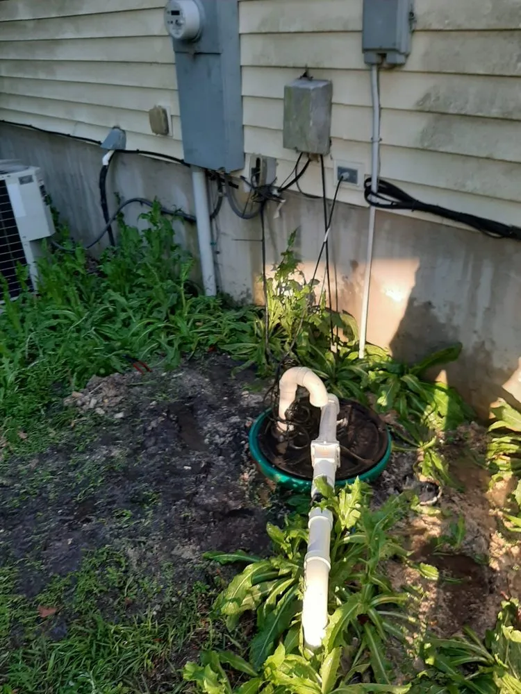 Professional panel upgrade service in Hubert, NC - Lizard with a Ladder