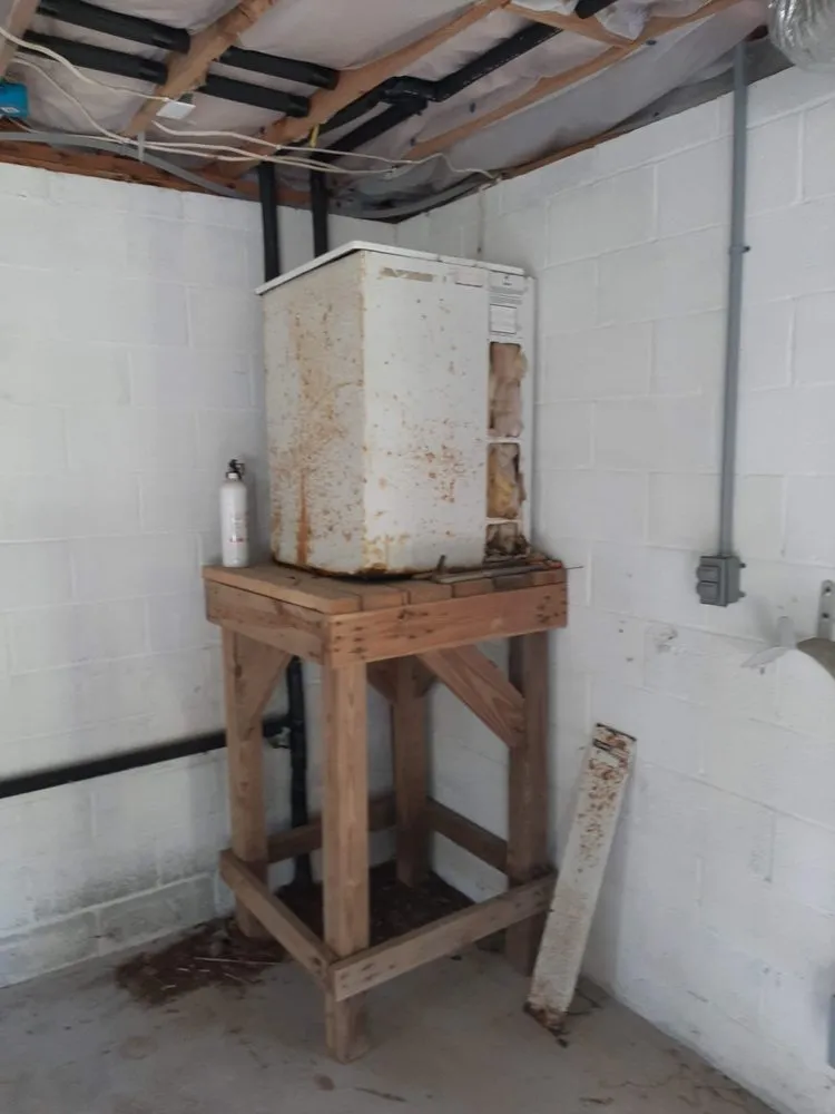 Affordable wiring installation service in Hubert, NC - Lizard with a Ladder